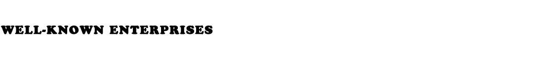 Xinsheng Industrial Co. , Ltd.